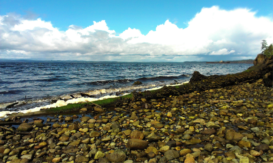 Beach at Port Simpson, facing the Masset Inlet